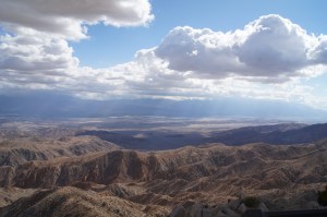 Joshua Tree - USA - Californie - California