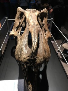 Jurassic world exposition ; critique ; avis