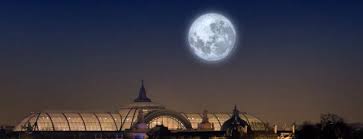 la lune expo critiques; grand Palais expo